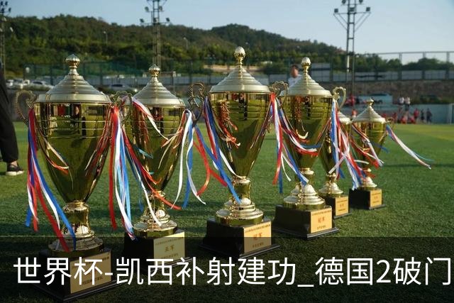 世界杯-凯西补射建功 德国2破门被吹半场暂0-1科特迪瓦