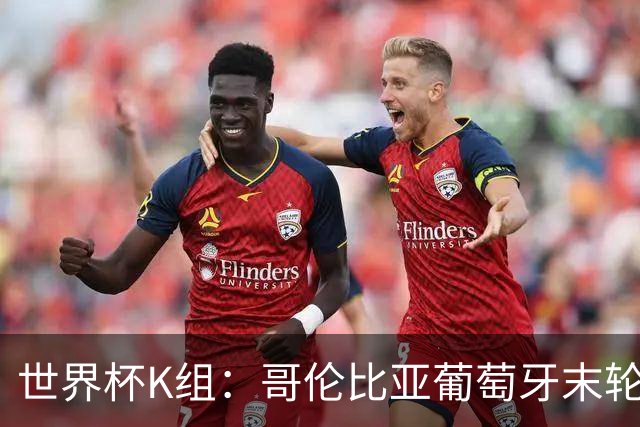 世界杯K组：哥伦比亚葡萄牙末轮交锋定头名 乌兹基本出局