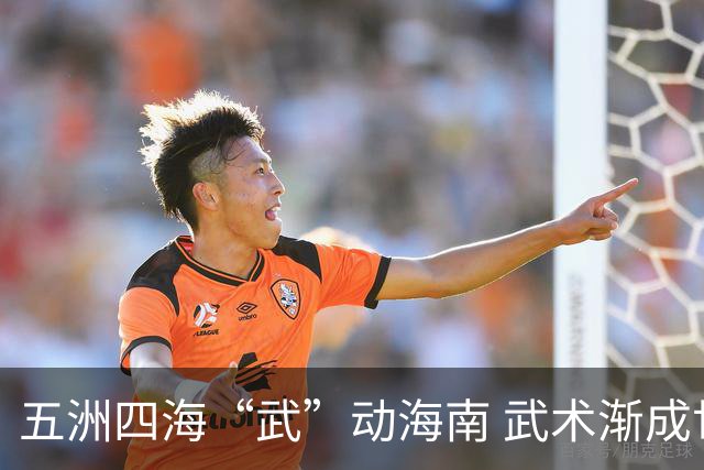 五洲四海“武”动海南 武术渐成世界语言