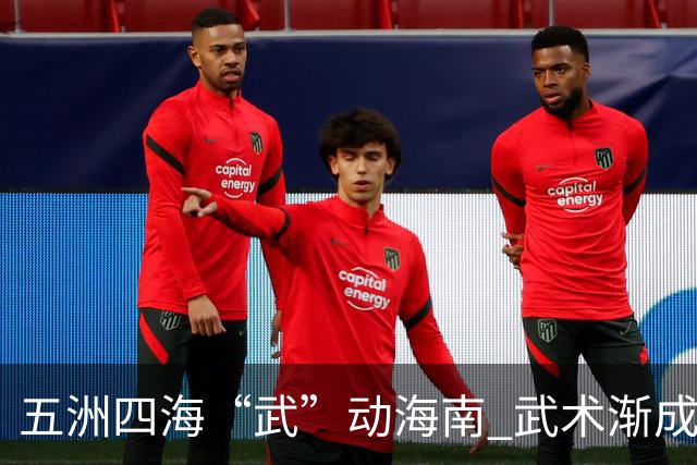 五洲四海“武”动海南 武术渐成世界语言