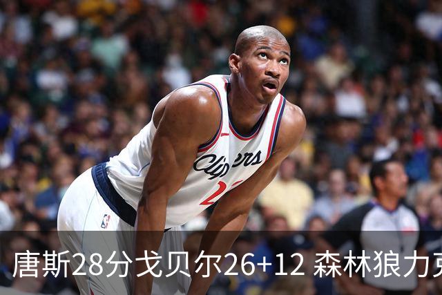唐斯28分戈贝尔26+12 森林狼力克黄蜂4连胜