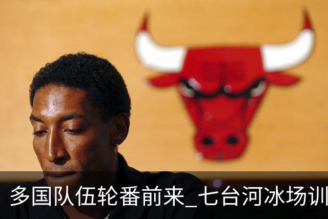 多国队伍轮番前来 七台河冰场训练档期排到9月
