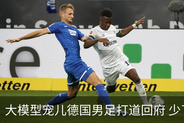 大模型宠儿德国男足打道回府 少了人性观察数据等于废纸