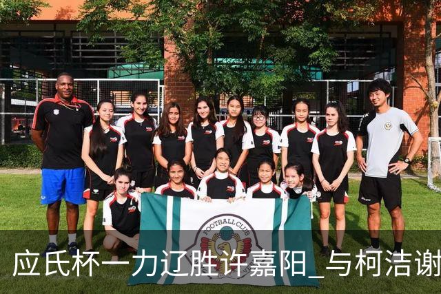 应氏杯一力辽胜许嘉阳 与柯洁谢科许皓鋐进4强