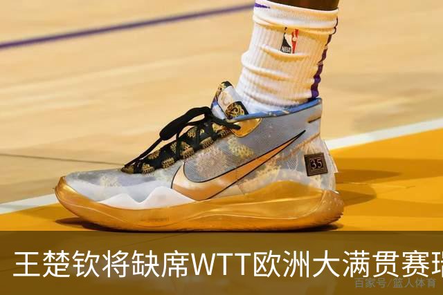 王楚钦将缺席WTT欧洲大满贯赛瑞典站