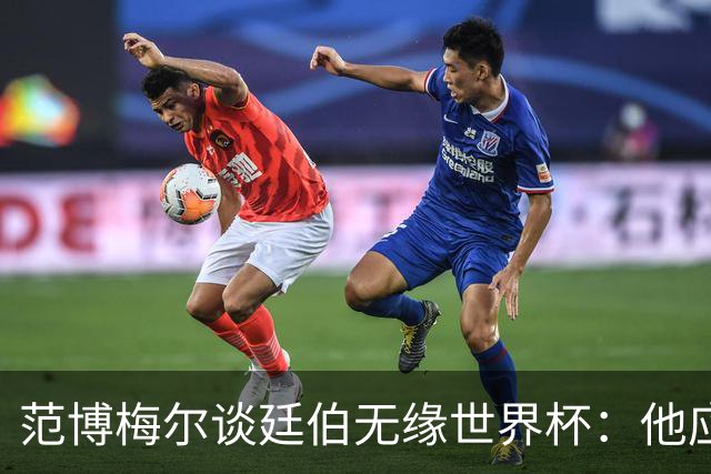 范博梅尔谈廷伯无缘世界杯：他应该立刻去度假，把精力放到下赛季