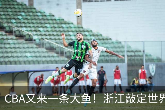 CBA又来一条大鱼！浙江敲定世界杯助攻王，新赛季或掀翻争冠格局